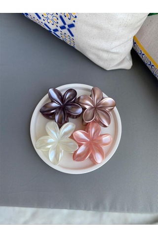 4'lü Set Pastel Mat Renk Lotus Toka Çok Renkli