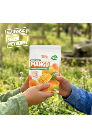 Dondurularak Kurutulmuş Mango 20 G Freeze Dried Meyve Cipsi Çıtır Meyve Kurusu 2 Adet