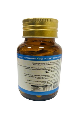 Afye Glukozamin Kondroitin Msm 90  Kapsül 1000 MG