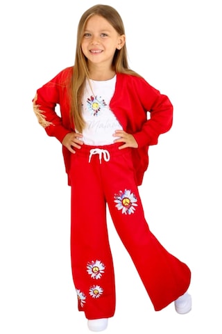 Kız Çocuk Çiçek Desenli Hırkalı Kırmızı Renk Üçlü Takım Kırmızı