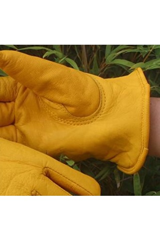 Ccgloball Soğuk Eldivenler Kalınlaşır Sarım - L