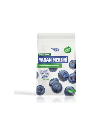 Dondurularak Kurutulmuş Yaban Mersini 18 G Freeze Dried Meyve Cipsi Çıtır Meyve Kurusu 1 Adet