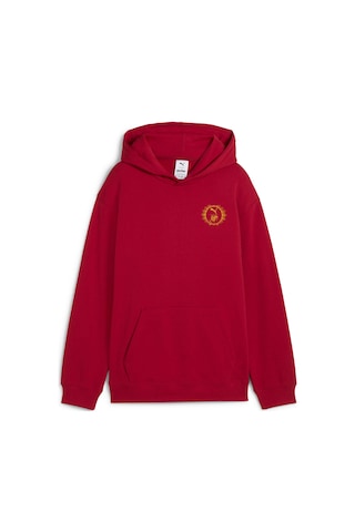 Puma X Harry Potter Genç Rahat Kesim Kapüşonlu Sweatshırt 630078 13 Kırmızı