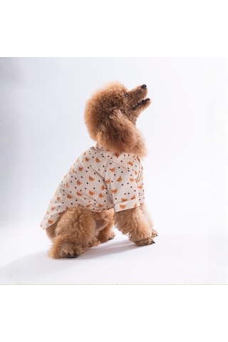 Teddy Belle Kedi Köpek Gömleği - Kedi Köpek Kıyafeti-kedi Gömlek-köpek Gömlek