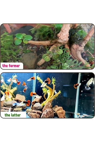 Vkemall Doğal Koral Yapılı Akvaryum Dekorasyonu: Süngerli Dal Yapısı Su Altı Ormanı, Sürüngenluk Ve Mikropeyzajlar İçin 20-25cm Derinleşmiş Ahşap Halka Sağlıklı, Her Bir Farklı Boyut-ağırlık