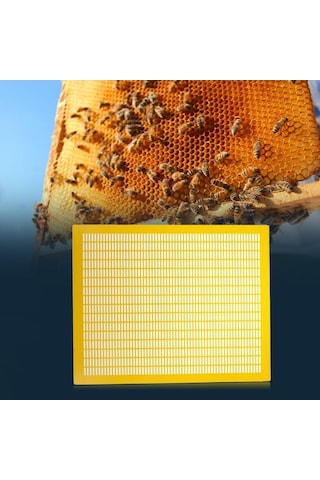 Pazly Suntek Sarı Pratik Kraliçe Dışlayıcı Çerçeve Arı 10 Hs