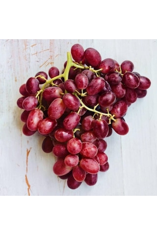 Tüplü Crimson Seedless Çekirdeksiz Üzüm Asma-Bağ Fidanı
