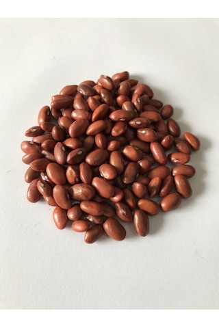 Yerli Sarıkız Erken Oturak Fasulye Tohumu 500 GR