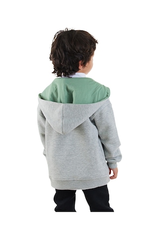 Denokids Dinozor Erkek Çocuk Fermuarlı Kapüşonlu Sweatshirt - Gri