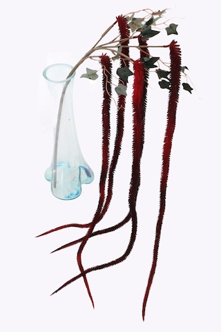 Yapay Çiçek Deposu Yapay Sarkan Amarantus Amaranthus 150cm Alev Kırmızısı