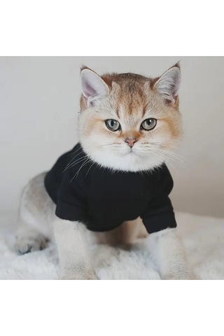 Kedi Ve Köpek İçin The Angel Kapüşonlu Siyah Sweatshirt