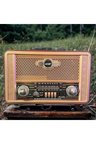 Biishe Retro, Nostaljik, Ahşap Tasarım Bluetooth Hoparlörlü, Şarjlı, Taşınabilir Otantik Tasarımlı 75802212