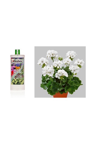 Tropikal Bitki Besini 3 Adet - Genel Kullanım 1000 Ml