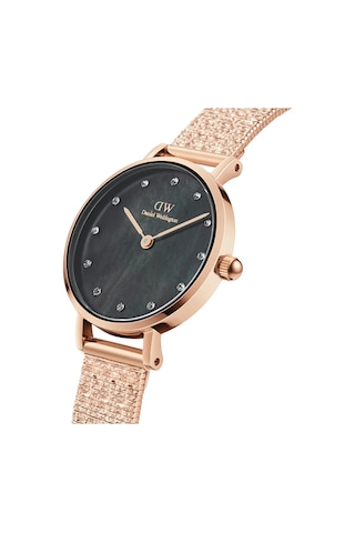 Daniel Wellington Dw00600591 Kadın Kol Saati Diğer