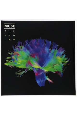 Muse - The 2nd Law - 2 X Plak