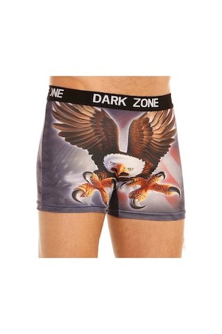Darkzone Kartal Desenli 3D Erkek Boxer - Dzn1013 Çok Renkli