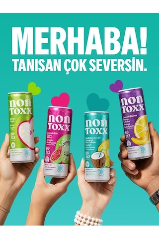 Nontoxx Tanışma Paketi 250 Ml X 3 Adet Hindistan Cevizi & Ananas Aroma, Guava &kivi Aromalı, Limon