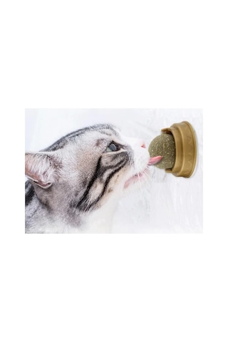 Kedi Kıyafeti Kedi Otu Oyun Topu