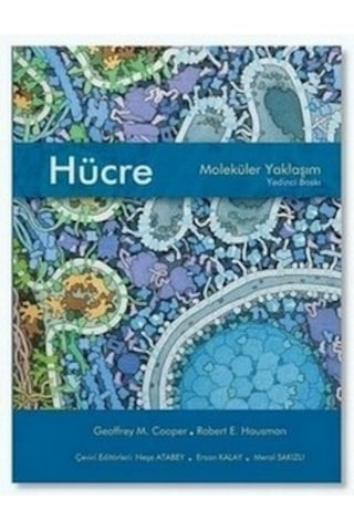 Hücre Moleküler Yaklaşım Ciltsiz Hücre Moleküler Yaklaşım Ciltsiz