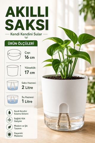 Akıllı Saksı Kendinden Sulamalı Fitilli Modern Dekoratif Saksı 2 Litre