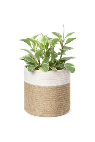 Mavaux Dekoratif Jüt Saplı Hasır Sepet Saksı 20cm X 20 Cm, Jüt Bej Saksılık, Dekoratif Saksı Ve Havluluk Jüt