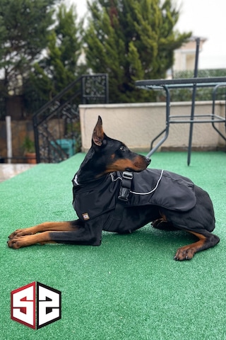 Salya Store Büyük Ve Orta Irk Su Geçirmez Köpek Montu Km-104