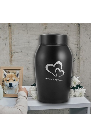 Homyl Köpekler Kediler Küller Gevşek Anıt Evcil Siyah Altın