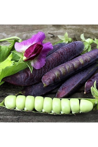 Ata Tohum Geleneksel Blauwschokker Mor Bezelye Tohumu 10 Tohum