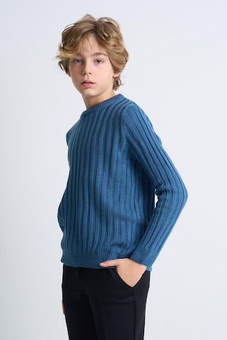 Alexandergardı Desenli Uzun Kollu Triko Çocuk Kazak Mavi