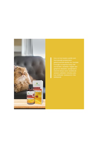 Tüy Dökülmesi Azaltıcı Ve Deri Sağlığı Destekleyici Kediler İçin Biotin Çinko Damla 50 Ml