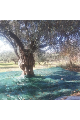 Morilu Zeytin Toplama Filesi Sergenlik Zeytin Yaygısı Yüzde 75'lik Zeytin Filesi Toplama Örtüsü