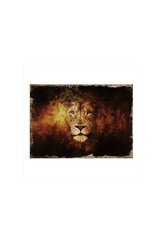 Bedeko Yaşlı Aslan Art Mdf Poster 50 Cm X 70 Cm