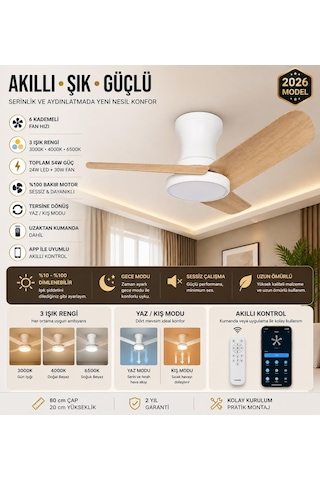 80 Cm Akıllı Tavan Vantilatörü Led Aydınlatmalı / Kumandalı & Telefon Kontrollü, 6 Hız, 3 Işık Rengi, Yaz/kı Çok Renkli 95449538