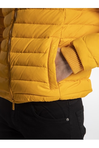 Iceberg  Erkek Mont  Ic574Mt Sarı