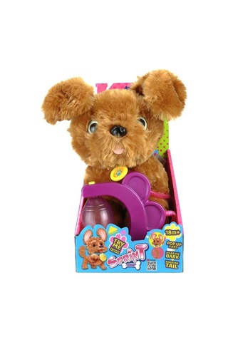 Sevimli Koşu Arkadaşım Golden Çok Renkli