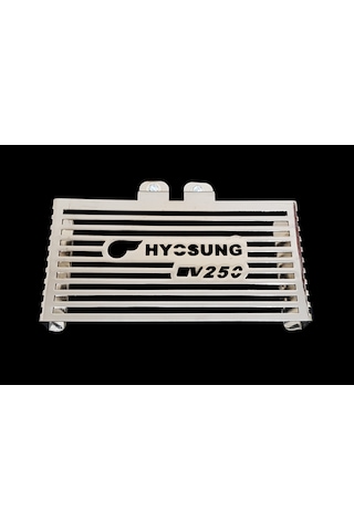 Hyosung Gv 250 Radyator Koruma