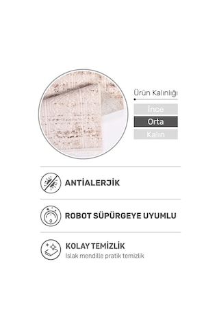 Fiona Yumuşak Dokulu Modern Halı Parlak Akrilik, Robot Süpürge Uyumlu, Lazer Kesim Kahverengi-krem