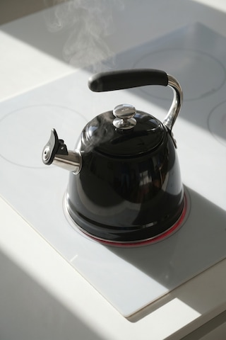 Teatime Paslanmaz Çelik Düdüklü Su Isıtıcısı Siyah - 3 L Diğer