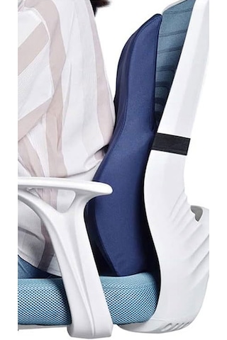 Viscower Anatomik Omurga Destekli Sırt Ve Bel Yastığı