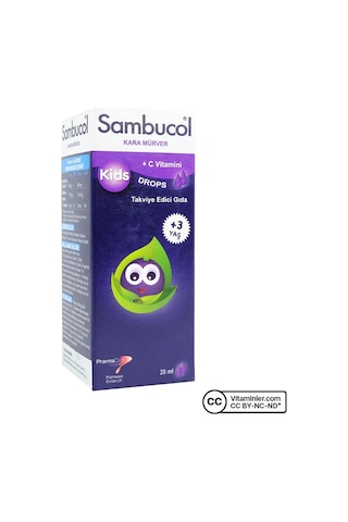 Sambucol Kids Kara Mürver Içeren Takviye Edici Gıda 3 Yaş 20 Ml