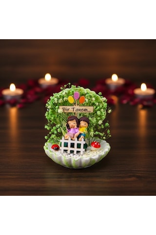 Mini Midye Teraryum - Özel Gün Hediyesi Çok Renkli
