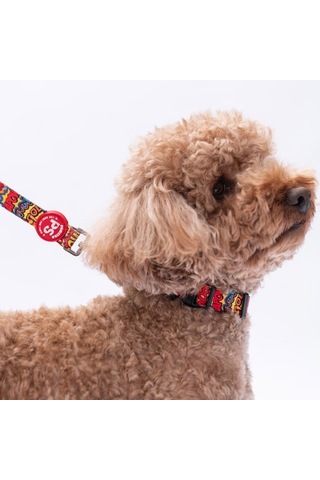 Wow Popart Desenli Köpek Boyun Tasması Ayarlanabilir Köpek Tasması Kırmızı