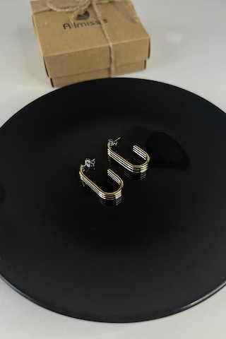 İki Renkli Gold-silver Kaplama Düz Çelik Küpe Çok Renkli