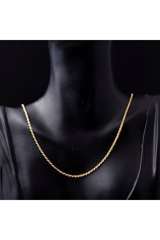 Burgu 14 Ayar Altın Zincir 55 cm. 14HL551