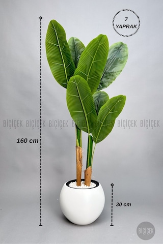 Biçiçek Yapay Starli̇ce 160 Cm 7 Yapraklı Beyaz Küre Saksıda
