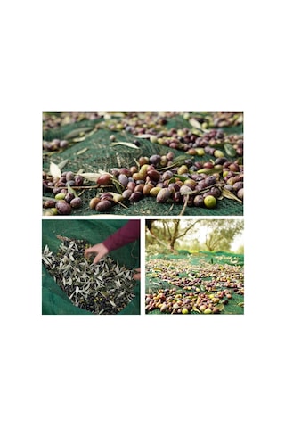 6x8 Metre Zeytin Sergisi Zeytin Toplama Filesi Fındık Fıstık Örtüsü Gölgelik Dut Meyve Sergisi Taban Örtü