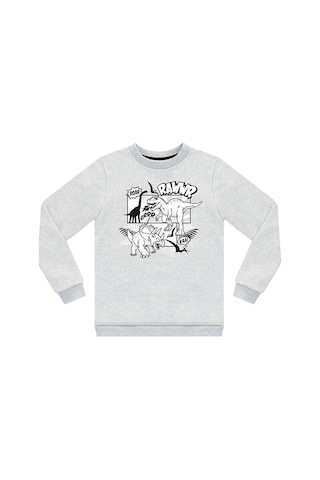 Denokids Rawr Dino Erkek Çocuk Sweatshirt - Gri Melanj