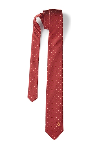 Galatasaray Erkek Kravat U221485 Kırmızı