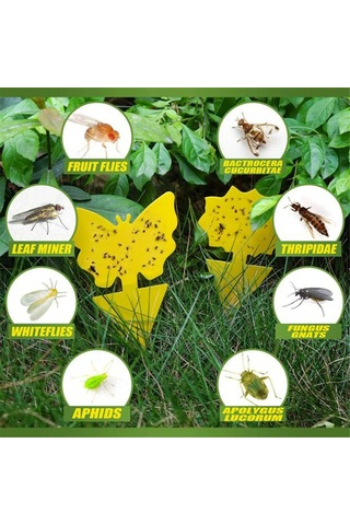 Mufunye 20 Adet Sarı Bitki Haşere Tuzağı - Çift Taraflı Yapışkan, Uçan Böcekleri Yakala, Dış/iç Mekan Uygun, Pet Ve İnsan Güvenli