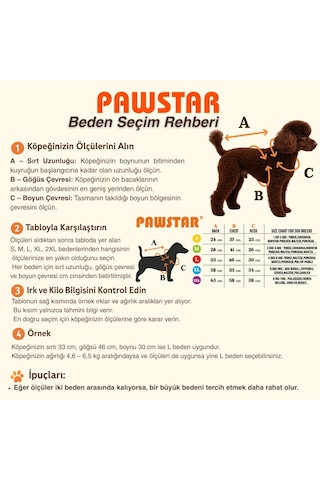 Yeşil Avocado Avokado Nakışlı Esnek Kedi Köpek Sweat- Kedi Köpek Kıyafeti